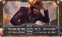 Bizzo Casino offre il gioco online Dead or Alive II