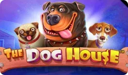 Bizzo Casino offre il gioco online The Dog House